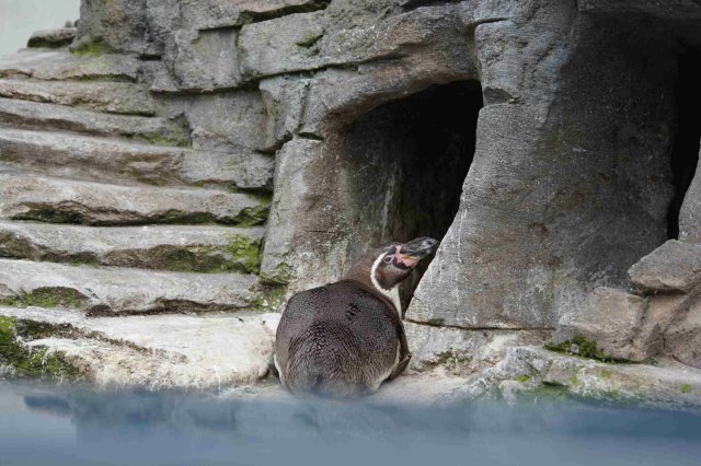 Ozeaneum Stralsund